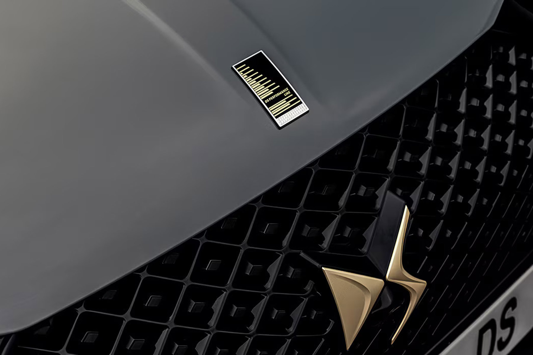 DS 3 DS Performance Line