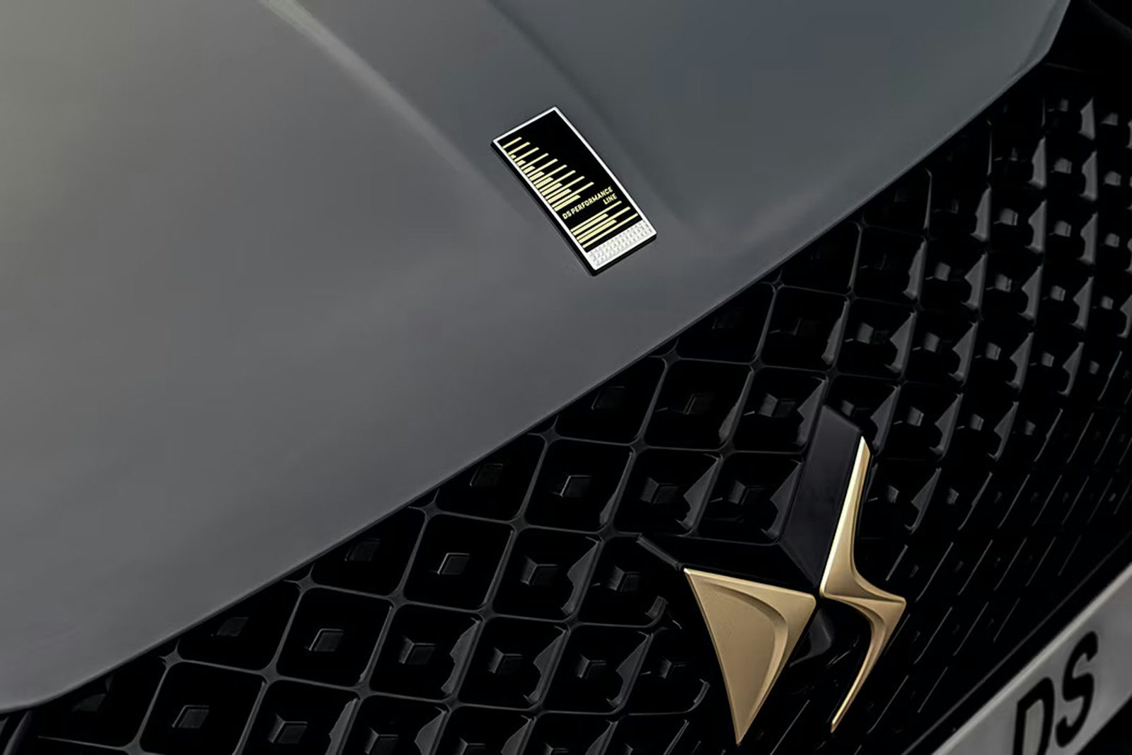 DS 3 DS Performance Line